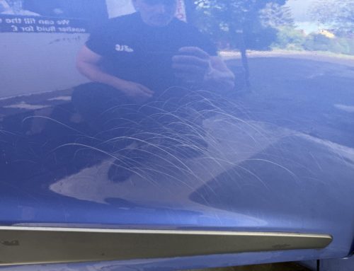 SCRATCHES REMOVAL